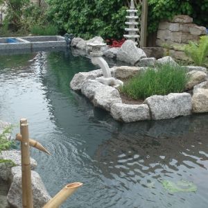 kopie von insel kolbatz